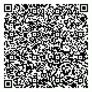 vCard 79207003404