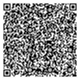 vCard 79208000873