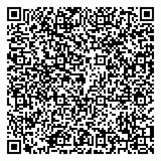 vCard 79208000919