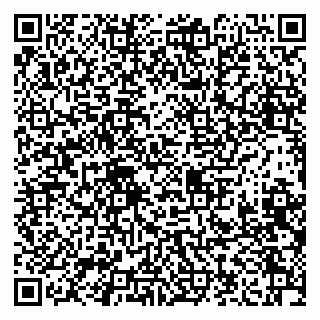 vCard 79208000931