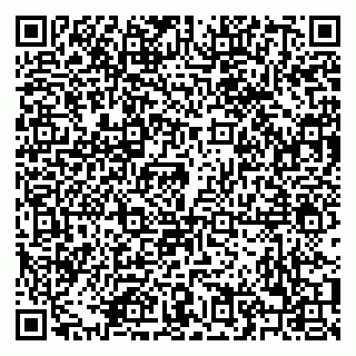 vCard 79208000933