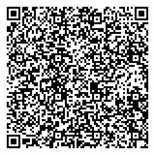 vCard 79208000963