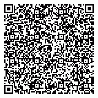 vCard 79208000973