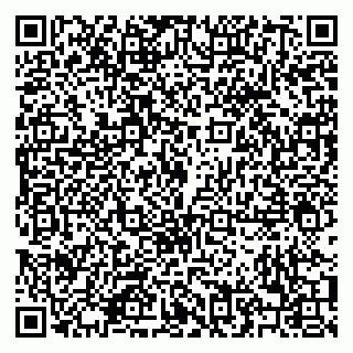 vCard 79208001013