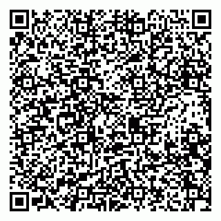 vCard 79208001297