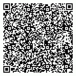 vCard 79208001338