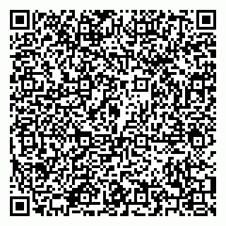 vCard 79208001381