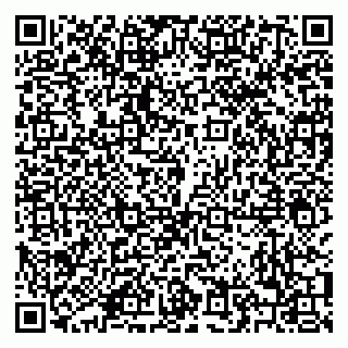 vCard 79208001529