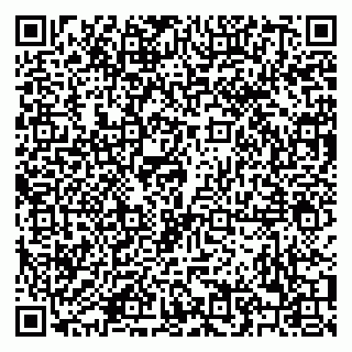 vCard 79208001531