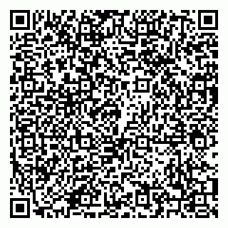 vCard 79208001533