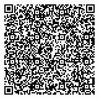 vCard 79208001535