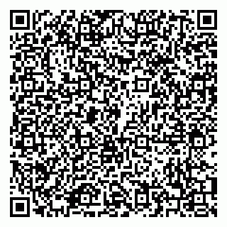 vCard 79208002013
