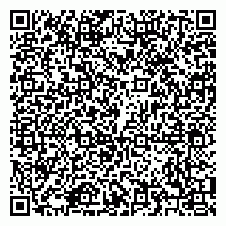 vCard 79208002065