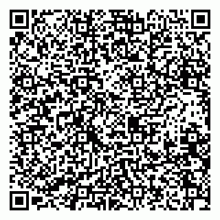 vCard 79208002073
