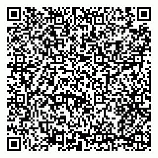 vCard 79208002176