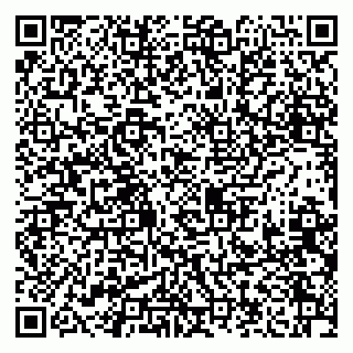 vCard 79208002211