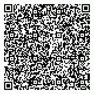 vCard 79208002221