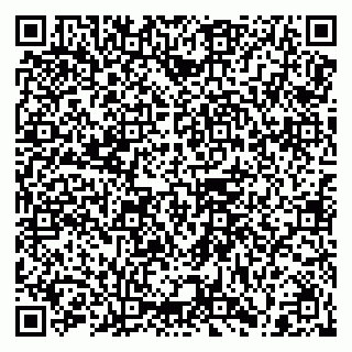 vCard 79208002331