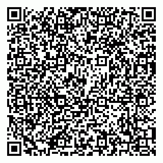 vCard 79208002335