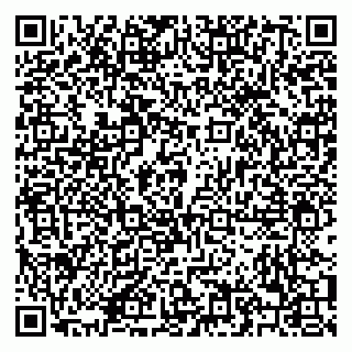 vCard 79208002403
