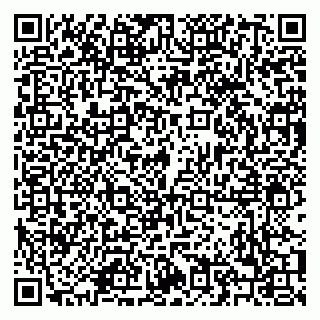 vCard 79208002633