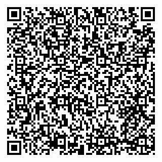 vCard 79208002729