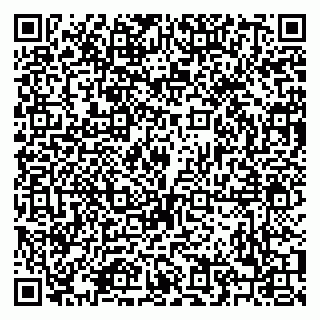 vCard 79208002735