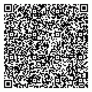 vCard 79208002738
