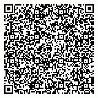 vCard 79208002903