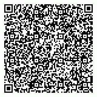 vCard 79208002911