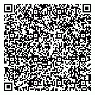 vCard 79208002919