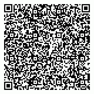 vCard 79208002933