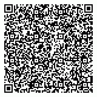 vCard 79208002940
