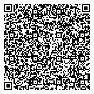 vCard 79208002959