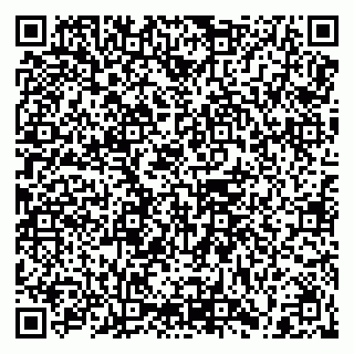 vCard 79208002980