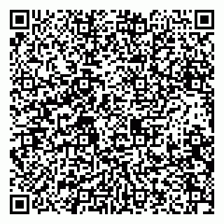 vCard 79208003011