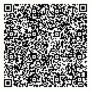 vCard 79208003013