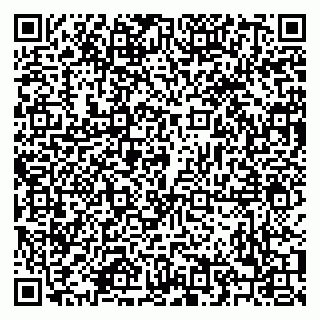 vCard 79208003031