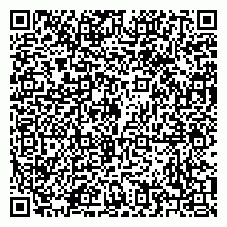 vCard 79208003133