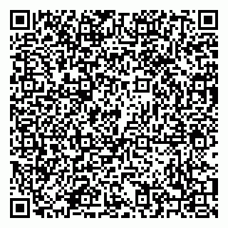 vCard 79208003733