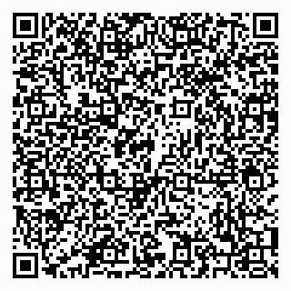 vCard 79208003779