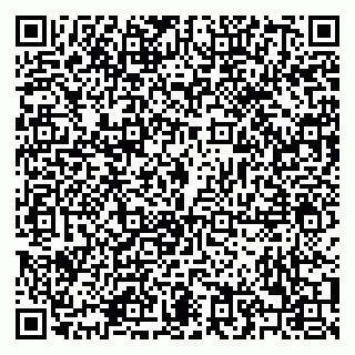 vCard 79208003811