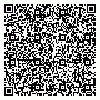 vCard 79208003873