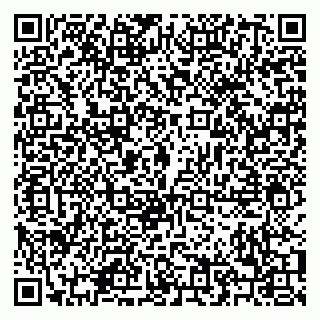 vCard 79208003881