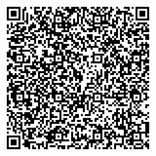 vCard 79208003903