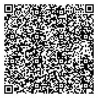 vCard 79208003919