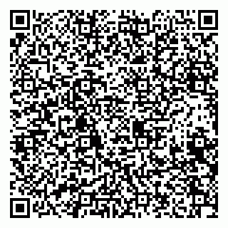 vCard 79208004011