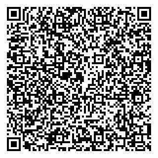 vCard 79208004031