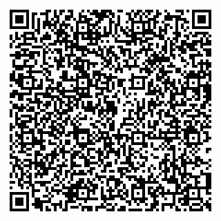 vCard 79208004033