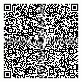 vCard 79208004038